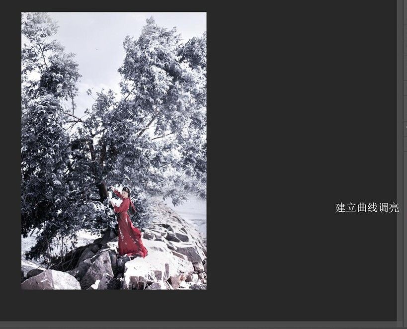 Photoshop快速调出冬季冷色调雪景效果(7)