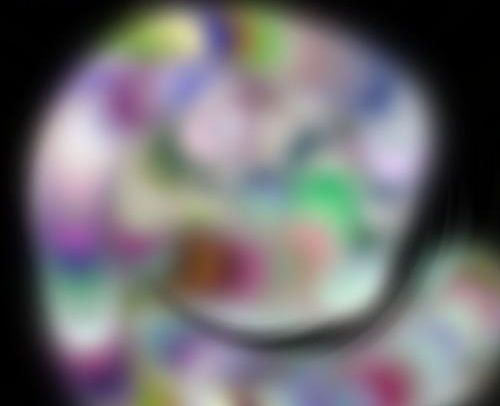 Photoshop滤镜制作漂亮的彩色漩涡(6)