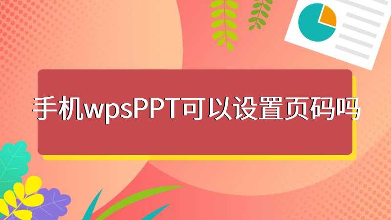 手机wpsPPT可以设置页码吗
